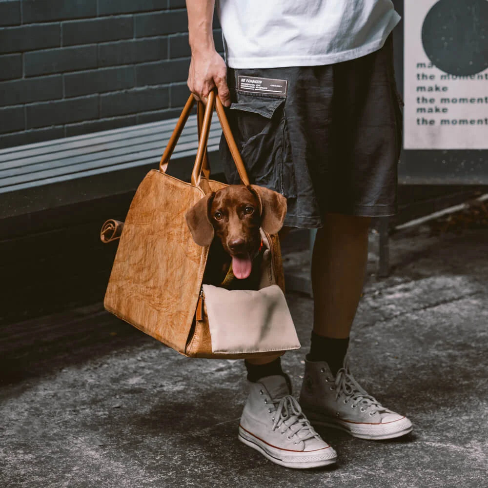 Dual-Use Design: Nutzen Sie die Tasche als stylischen Carrier für den Weg zum Tierarzt oder als sicheren Booster-Sitz im Auto